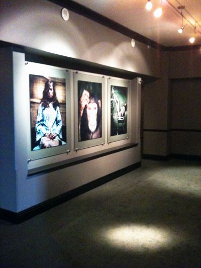 Alcantara Arts Corporate Interiors